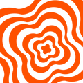 orange flower
