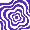 purple flower